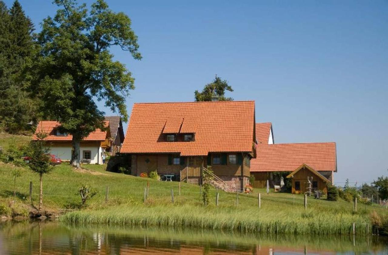 Ferienhof Kienbronnerhof Schiltach Kültér fotó