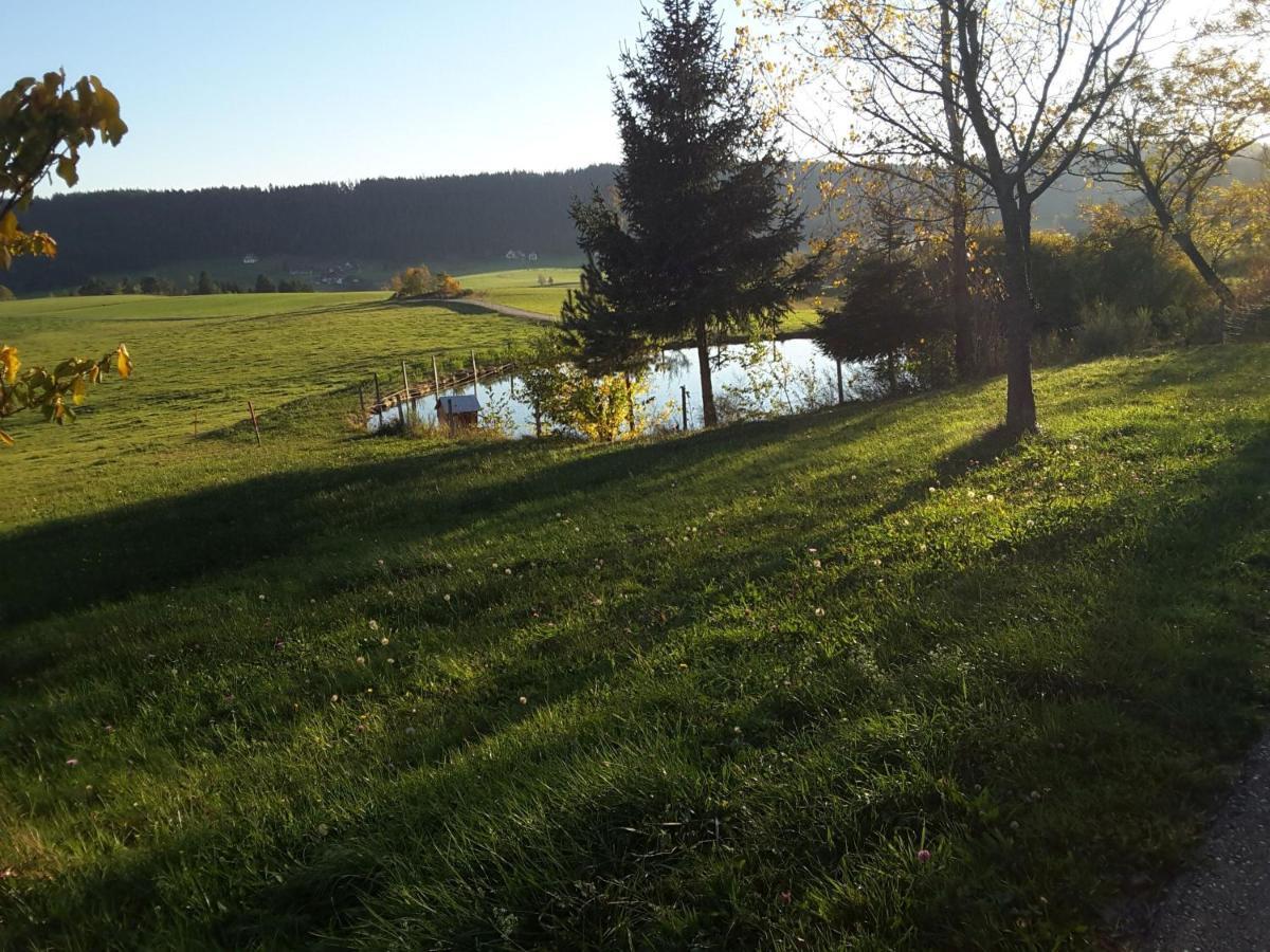 Ferienhof Kienbronnerhof Schiltach Kültér fotó